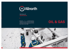 巴西allnorth服務咨詢公司品牌設計咨詢策劃方案
