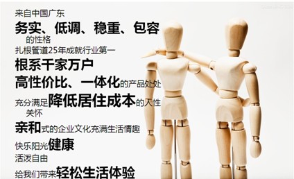 天進品牌戰(zhàn)略咨詢-品牌咨詢服務_品牌營銷策劃